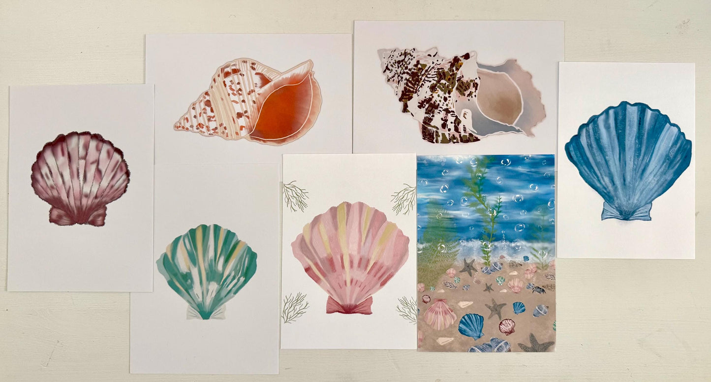 Seashell Wall Art Prints – Beach & Coastal Decor | Under The Sea Gallery Wall / Ready-to-Frame