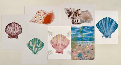 Seashell Wall Art Prints – Beach & Coastal Decor | Under The Sea Gallery Wall / Ready-to-Frame