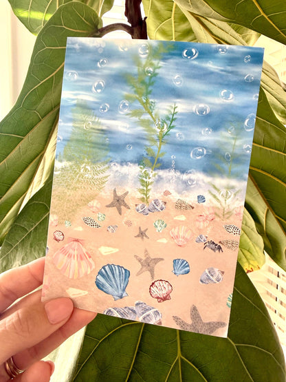Seashell Wall Art Prints – Beach & Coastal Decor | Under The Sea Gallery Wall / Ready-to-Frame
