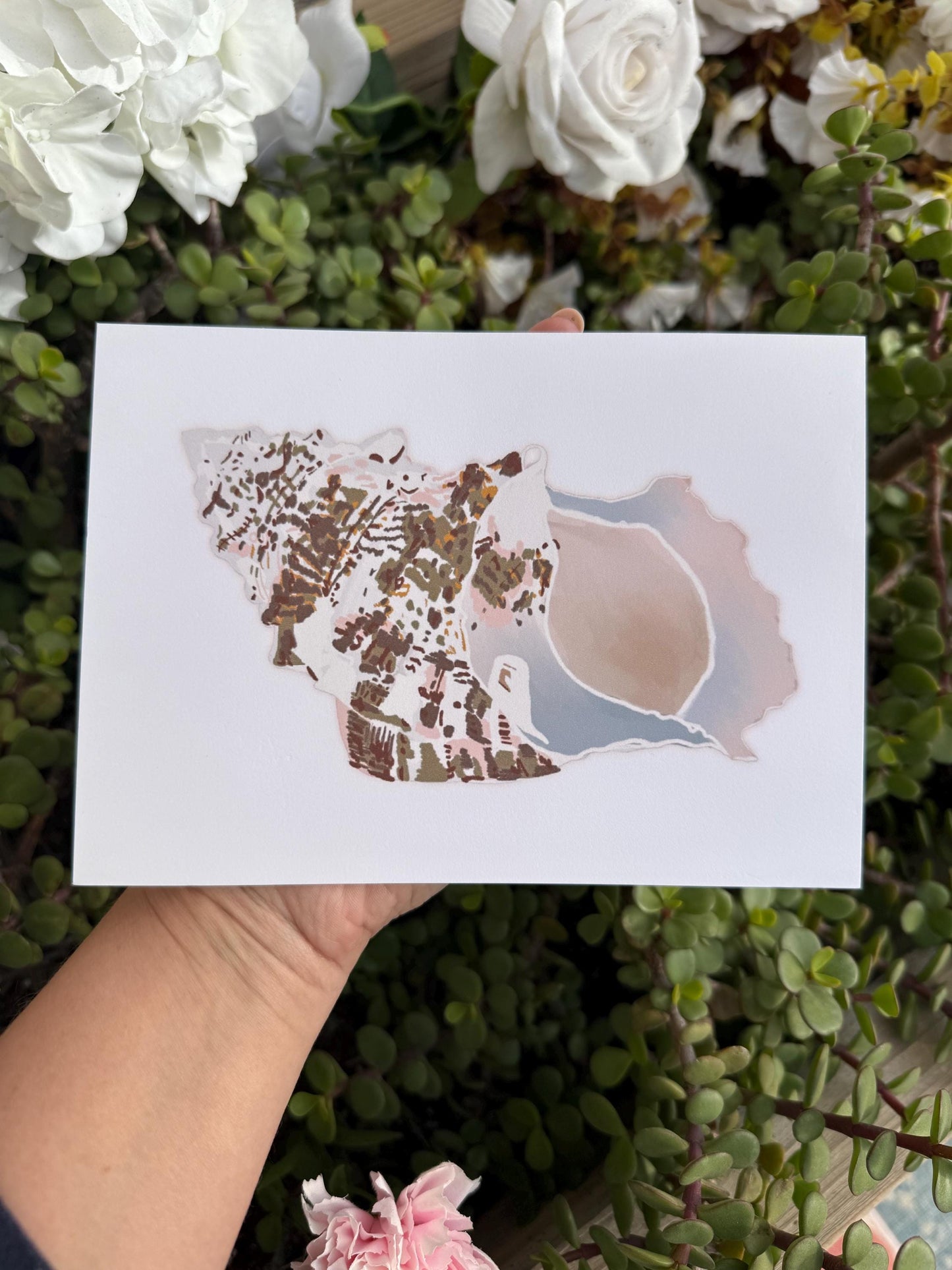 Seashell Wall Art Prints – Beach & Coastal Decor | Under The Sea Gallery Wall / Ready-to-Frame
