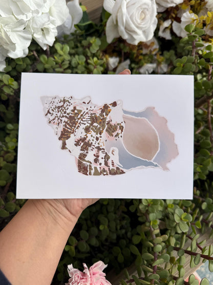 Seashell Wall Art Prints – Beach & Coastal Decor | Under The Sea Gallery Wall / Ready-to-Frame