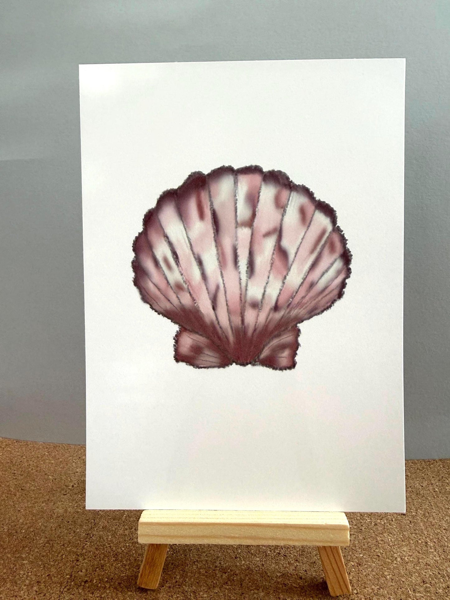 Seashell Wall Art Prints – Beach & Coastal Decor | Under The Sea Gallery Wall / Ready-to-Frame