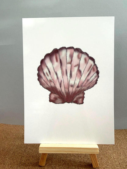 Seashell Wall Art Prints – Beach & Coastal Decor | Under The Sea Gallery Wall / Ready-to-Frame