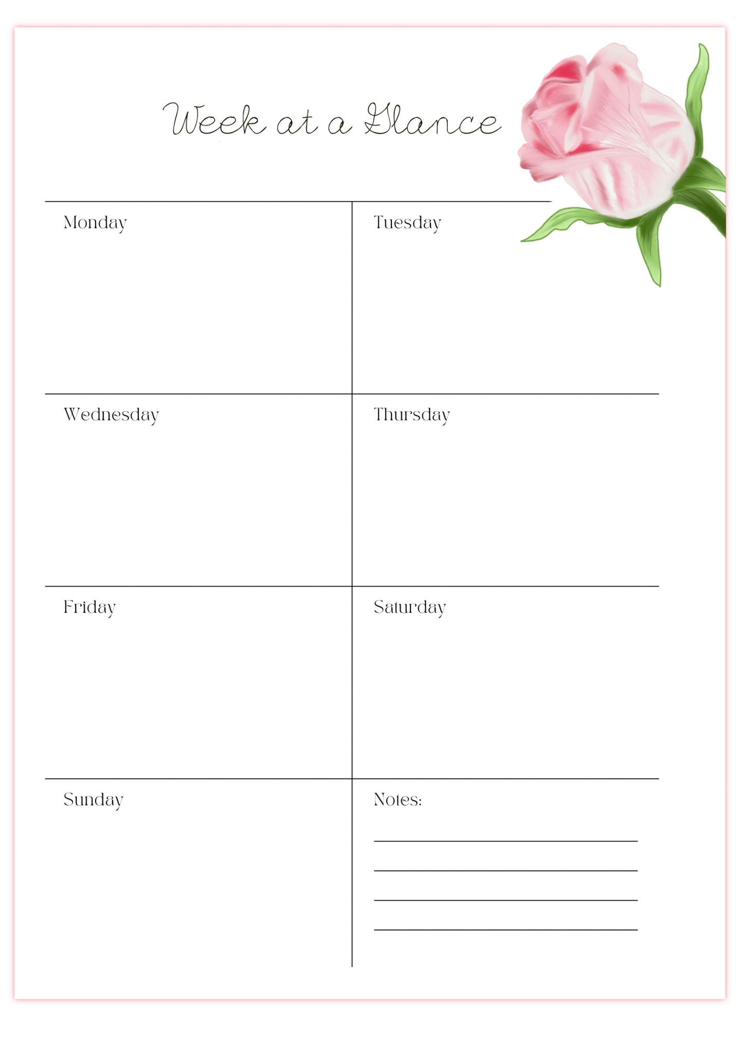 Pink Rose - 6 Hole Punched- A5 Planner Inserts - Pack of 40