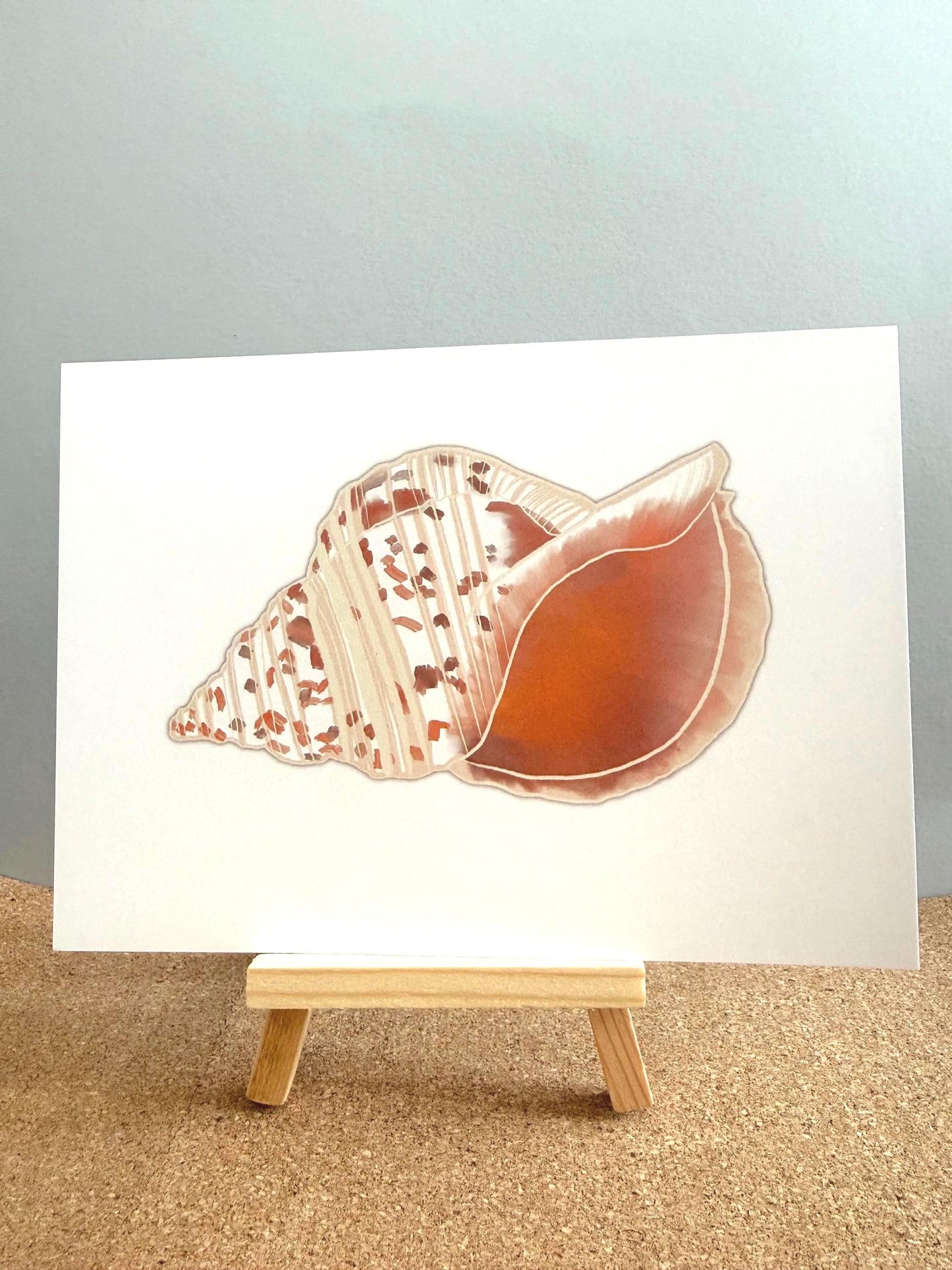Seashell Wall Art Prints – Beach & Coastal Decor | Under The Sea Gallery Wall / Ready-to-Frame